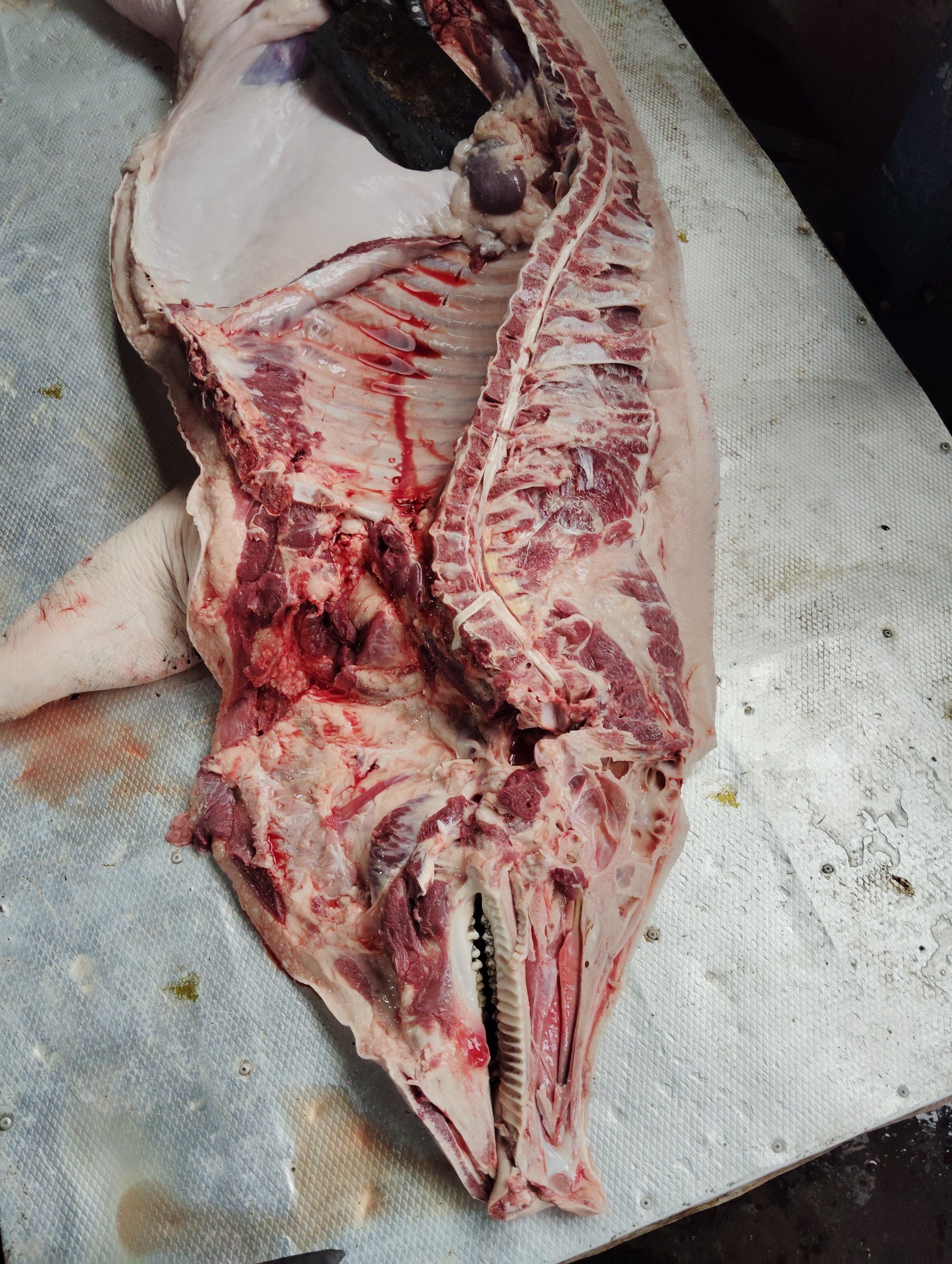梦见买了猪肉是什么意思