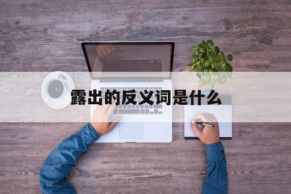 露出的反义词是什么